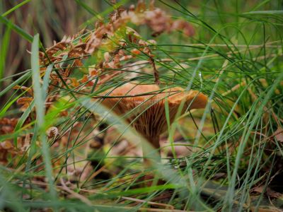 Montferland sept19 53