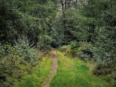 Montferland sept19 54