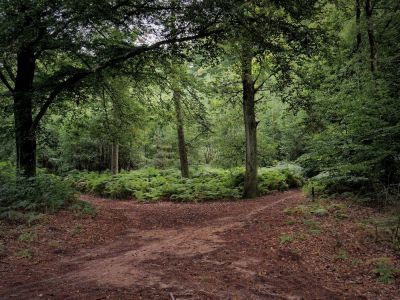 Montferland sept19 59