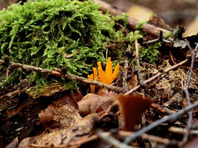 Montferland sept19 62