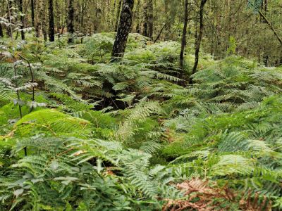 Montferland sept19 65