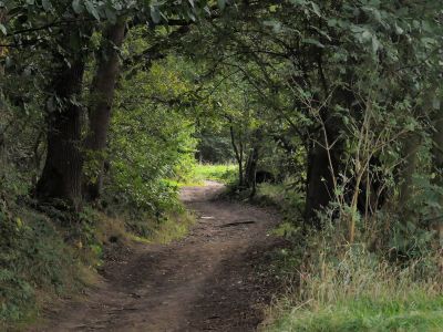 Montferland sept19 68