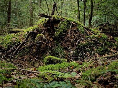 Montferland sept19 100