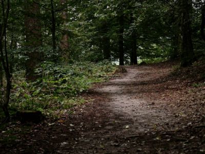 Montferland sept19 76