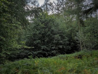 Montferland sept19 78