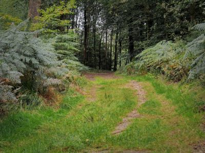 Montferland sept19 80