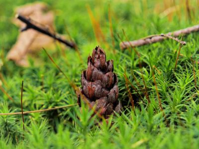 Montferland sept19 84