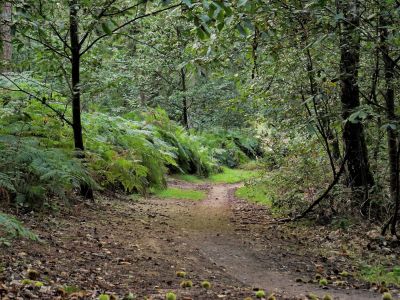 Montferland sept19 89
