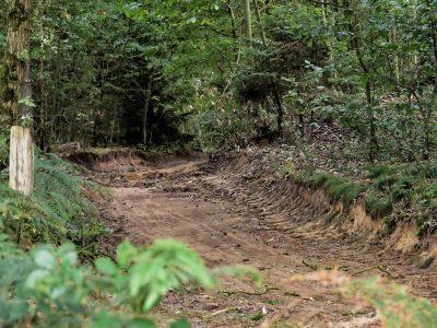 Montferland sept19 91