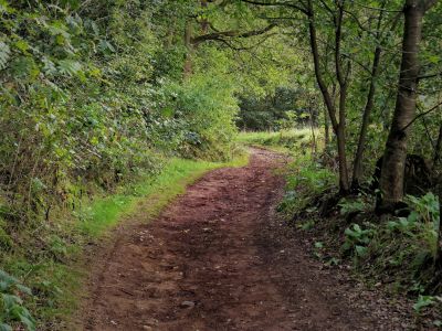 Montferland sept19 92