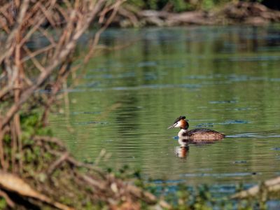 Birdparadise apr19 58