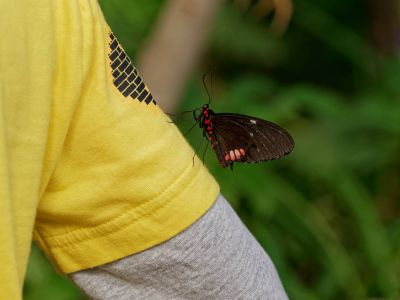 BurgersZoo mrt19 100