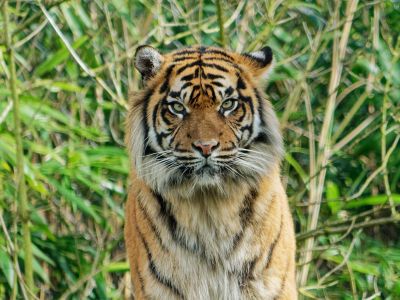 BurgersZoo mrt19 107