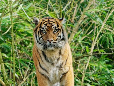 BurgersZoo mrt19 108