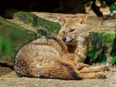 BurgersZoo mrt19 111