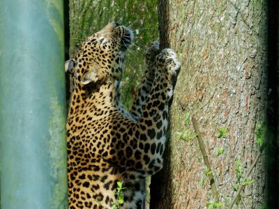 BurgersZoo mrt19 115