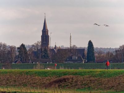 Lobberdense mrt21 15