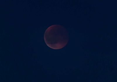 Bloedmaan - Sept25