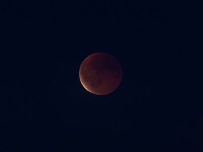 p1378311 dxo