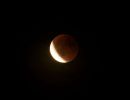 p1378353 dxo